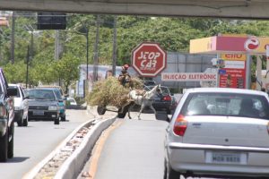 Bruno quer revisar lei de sua autoria que proíbe circulação de carroças em JP