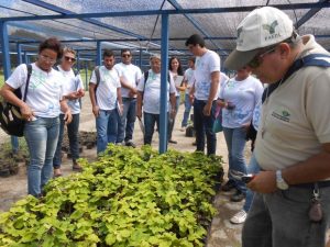 Senar está com inscrições abertas para 120 vagas em cursos técnicos gratuitos