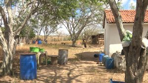 Cinco ovelhas e dois perus são roubados e levados dentro de carro durante assalto