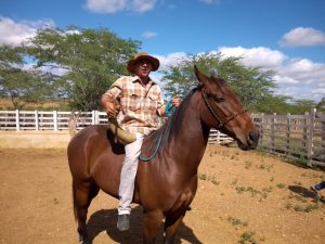 Vaqueiros trocam os cavalos por motos