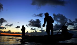 MP de auxílio a pescadores afetados por manchas de óleo é prorrogada por 60 dias
