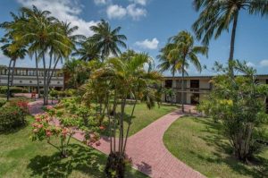 Casa Cor faz plantio de 15 árvores na área verde do Hotel Tambaú