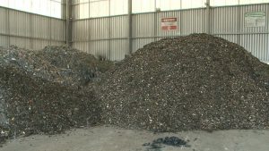 Fábrica de cimentos na PB reaproveita petróleo retirado de praias do Nordeste