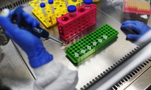 Mortes por coronavírus aumentam 70% em uma semana na Paraíba