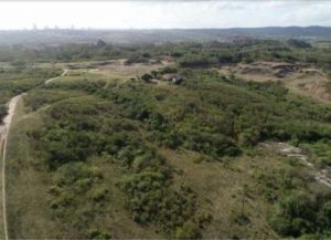 Governo desafeta área de conservação para construção de Centro de Convenções em CG