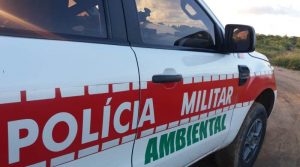 Polícia devolve ao mangue mais de 160 caranguejos-uçá capturados no período de defeso