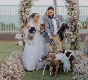 Blog Caderno Animal estreia no Jornal da Paraíba