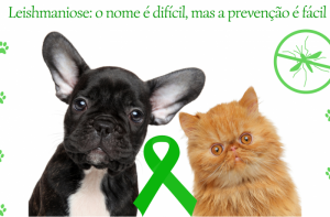 Agosto Verde: mês do combate à leishmaniose
