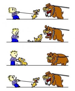 O que é um cachorro reativo? Entenda reatividade do cão