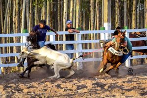 Prefeita proíbe realização de vaquejada em Rio Tinto após recomendação do MPPB