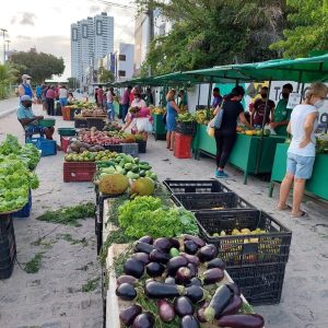 Venda de produtos agroecológicos une praticidade e tecnologia