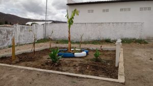 Projeto da UFPB desenvolve modelo de ecofossa para reúso de água após tratamento esgoto