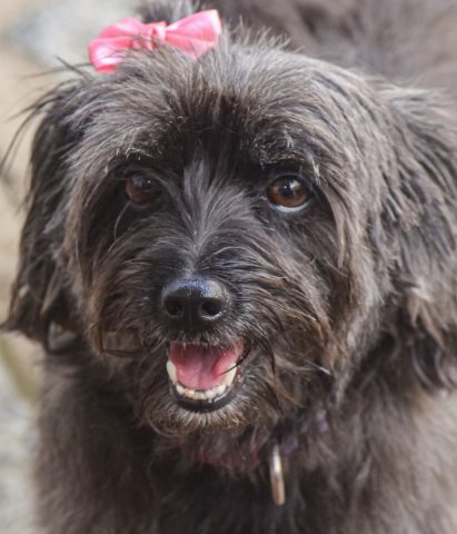 Quando a punição é necessária?