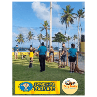 Aulas de adestramento em grupo em Intermares