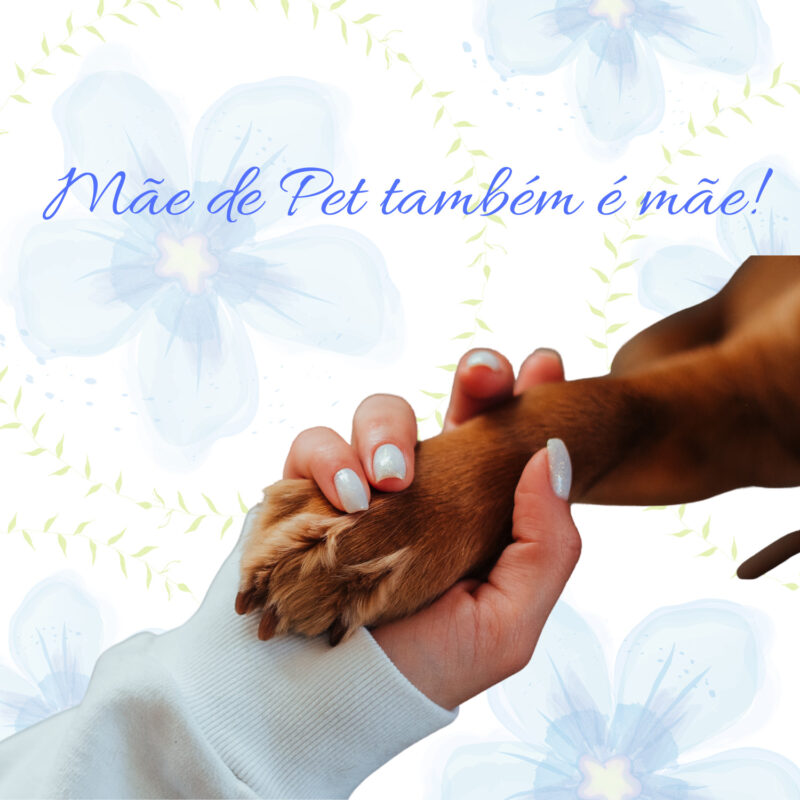 Feliz dia das mães!!!!