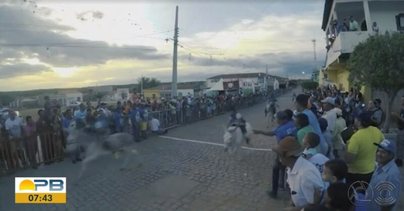 Justiça determina proibição de corrida de jegues por suspeita de maus tratos e trabalho infantil