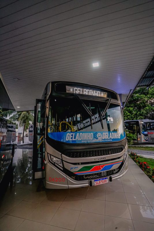 Ônibus ‘Geladinhos’ não têm gratuidade para grupos amparados por lei; entenda